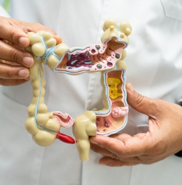 Sağlıklı Sindirim İçin: Probiyotik ve Prebiyotikler