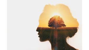 Kişisel Gelişim Yolculuğu